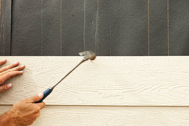 Best Vinyl Siding Installation  in Princeton, MO
